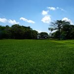 Home pasture, landscape, grama, trees, nature, archeology, maya, pipil, park